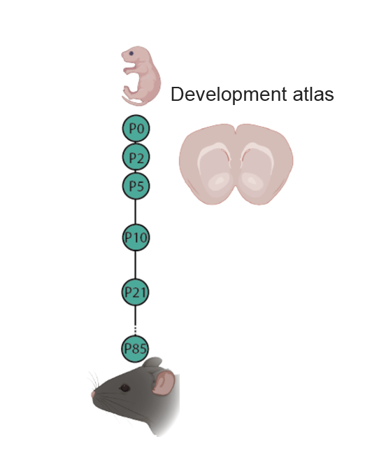 SpatialTriModalData